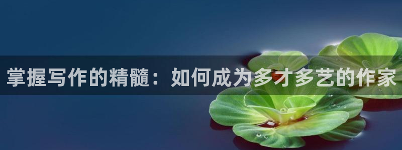 搜书吧永久更新地址：掌握写作的精髓：如何成为多才多艺的作家
