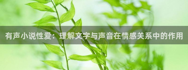 搜书吧小说网：有声小说性爱：理解文字与声音在情感关系中的作用