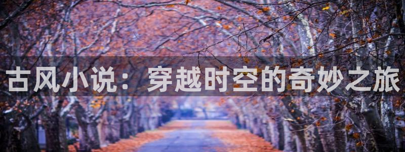 搜书吧搜书吧入口：古风小说：穿越时空的奇妙之旅